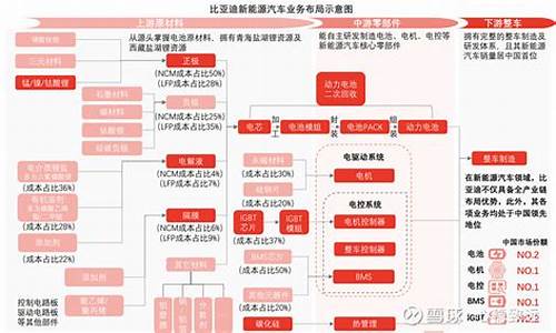 比亚迪业务分析_09比亚迪汽车业务拓展策略